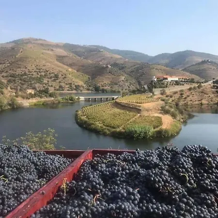 Casa Do Cruzeiro Holiday home